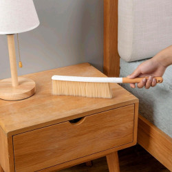 Handheld Broom